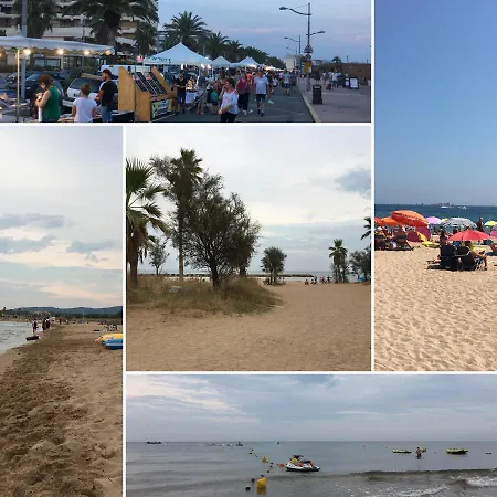 Les Pins Maritimes *